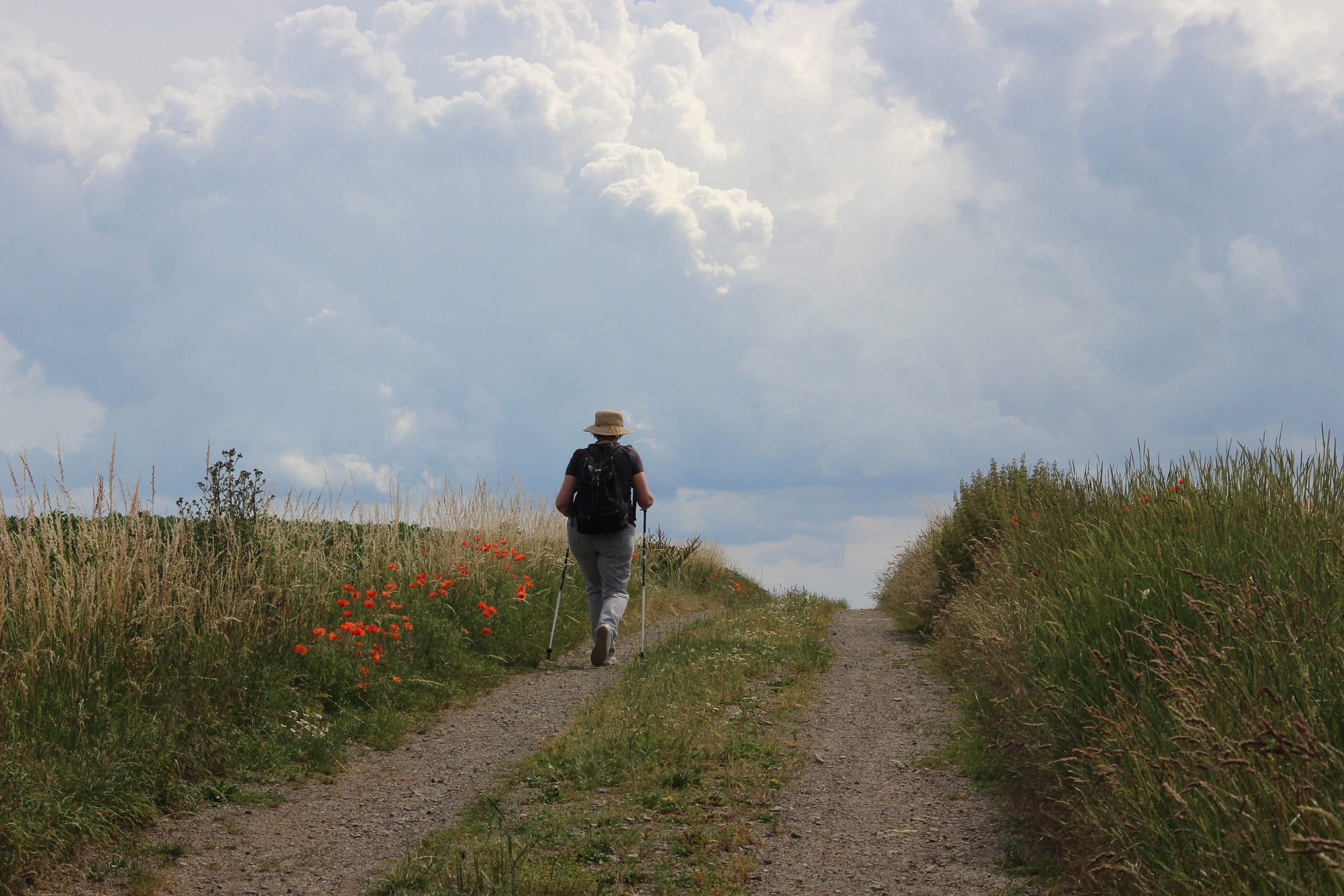 Esiste una strada diversa?
